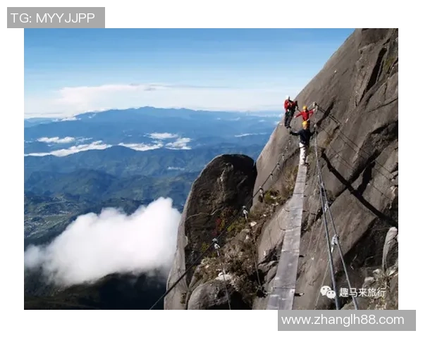 杭州极限运动队逆袭之路：从挑战到辉煌的精彩解读